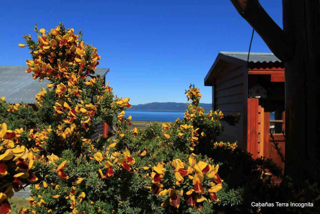 Villa Terra Incognita Ushuaia Esterno foto