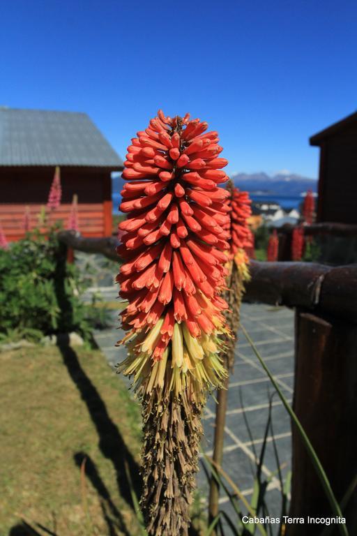 Villa Terra Incognita Ushuaia Esterno foto