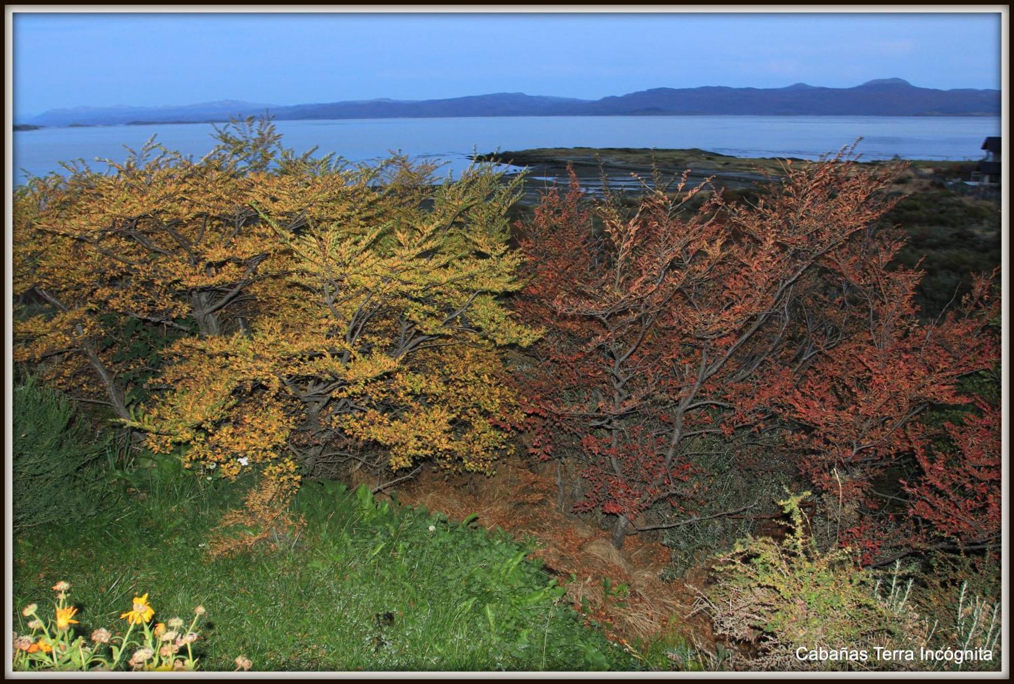 Villa Terra Incognita Ushuaia Camera foto