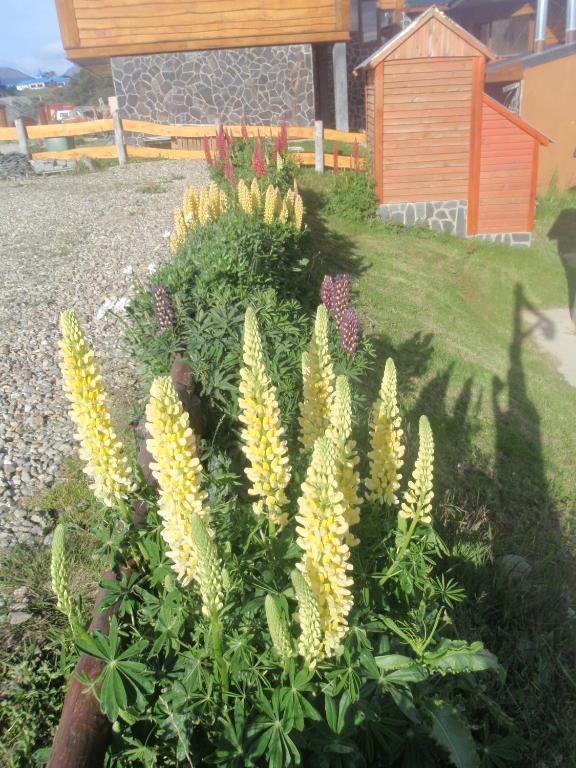 Villa Terra Incognita Ushuaia Camera foto