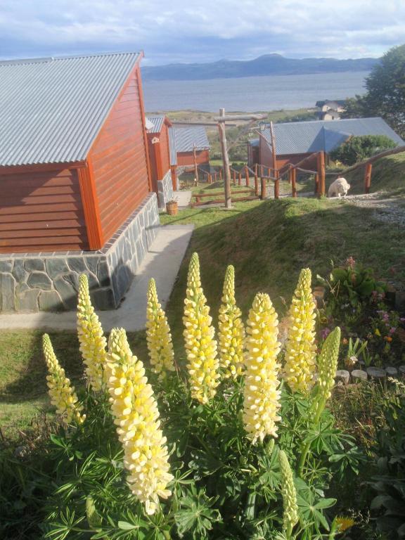 Villa Terra Incognita Ushuaia Camera foto